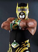LOS VIPER'S REVOLUTION