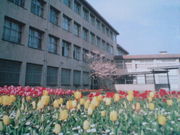 ������̾����������ع���