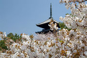 2007京都古建築旅行