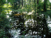 我ら源流探検部！