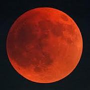 Moon Struck