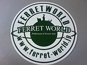 Ferret World ららぽーと店