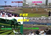 茨城県高校野球