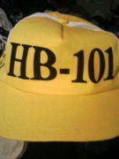 HB�ݣ�����