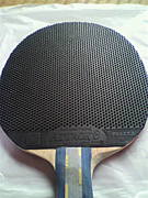 �Ў��Ď׎�(MISTRAL)