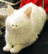 ͤȾФݥȰ㤦⡣