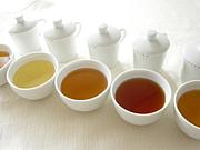 ǯ��Ĳ���������ʪ������*