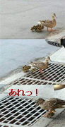 ĤΤȤǤʤ