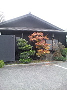 SU��TE��KI�Ź