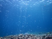 ���칥�����ޤ졼🏖🐠☀