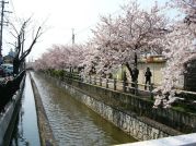 1985ǯ���ޤ������������ع���