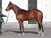 ワールドエース