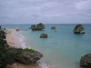 2007ǯNAISTͽ