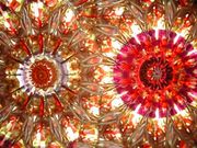 ���ڶ�����Ź