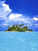 ̵���礬���礦�ˤ�����