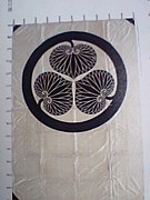 ����ʪ �ϰ� ����