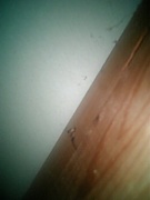 ���������������