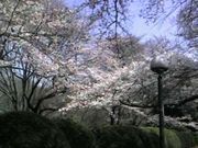 �ϵ���Ϣ�����ˤ����ICU