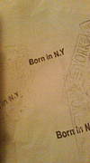 Born in N.Y Ltd Store