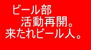�����Ǥ����˴̥ӡ��������