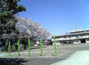 ���ջ�Ω�Բ쾮�ع�