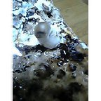 ���������Ȥ��ä���