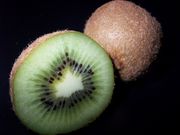 �������������♫♬