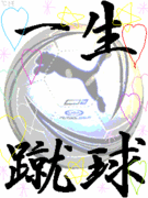 ���襤������