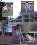 城山動物園へようこそ〜！