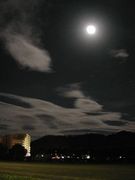 ��̾��ī�����ž�¡�