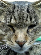 ��.��.��