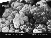 富山県地学系学芸員