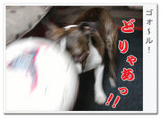 ���ͥ������칥��