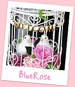 ブーケ・花冠　Blue Rose