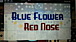  Blue Flower  Red Nose 