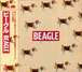 BEAGLE/ビーグル