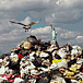 a pile of garbage