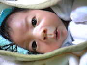 2007.1.5生まれﾍﾞﾋﾞのﾏﾏ♪