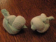 アライグマの会：合氣道