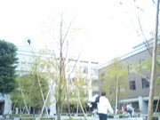 �������ͣȣ���ǯ�����������ߥ�