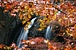 茨城の滝