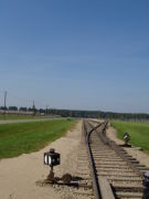 ���գУ����ǣӡ�