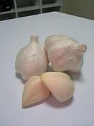 �ݰ��α��ܻΡ�in���