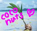 coconutsΤˤ繥
