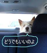 �֤狼��ޤ���