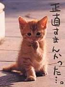 ��������Т�