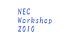 NEC Workshop 2010