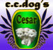 CESAR DOG'S  （C.C.DOG'S）