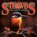 STRAWBS FORUM