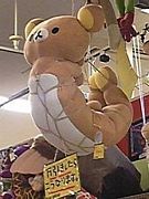 (ʡ)礹륳ߥ